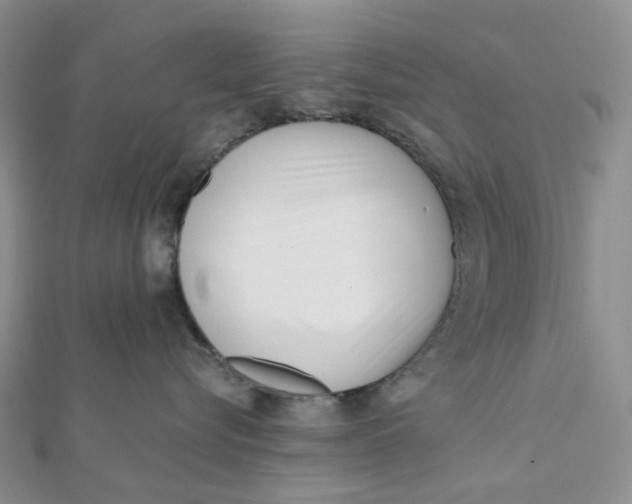 X0000112080576200908251107