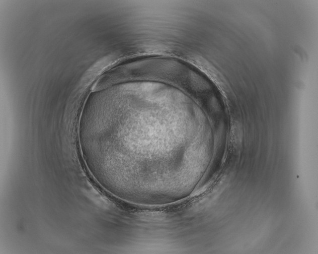 X0000112080577200908251106