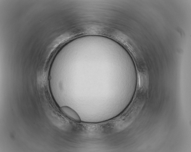 X0000112080579200908251106