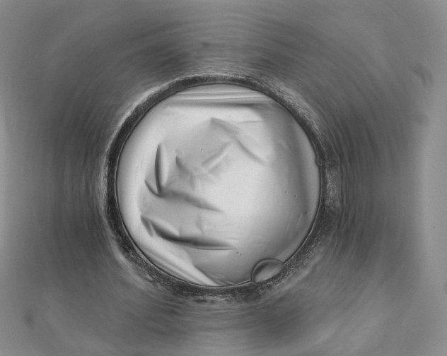 X0000112080580200908251106