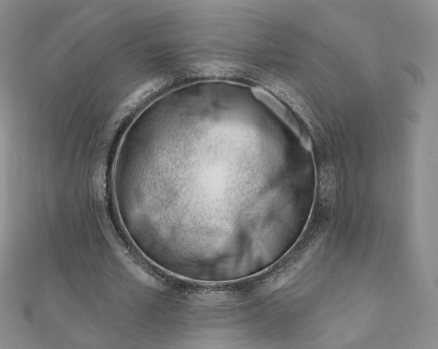 X0000112080581200908251106
