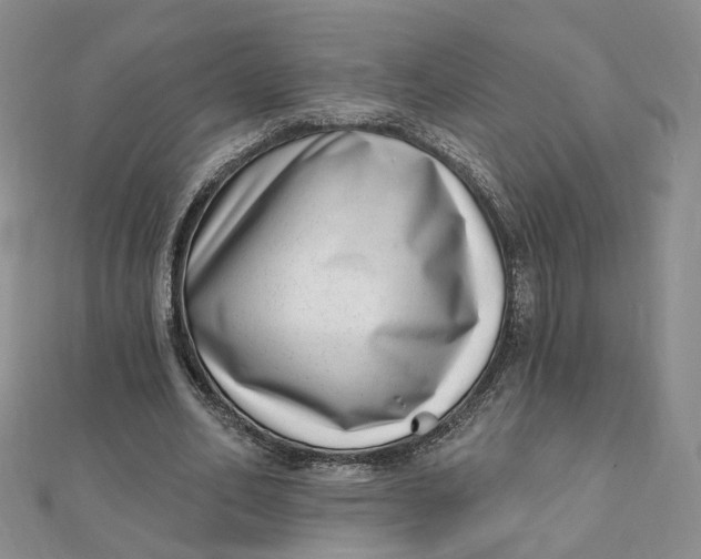 X0000112080582200908251106