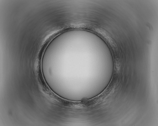 X0000112080583200908251106