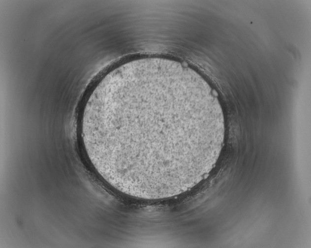 X0000112080584200908251106