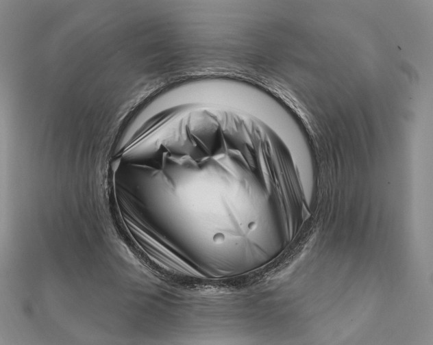 X0000112080585200908251106