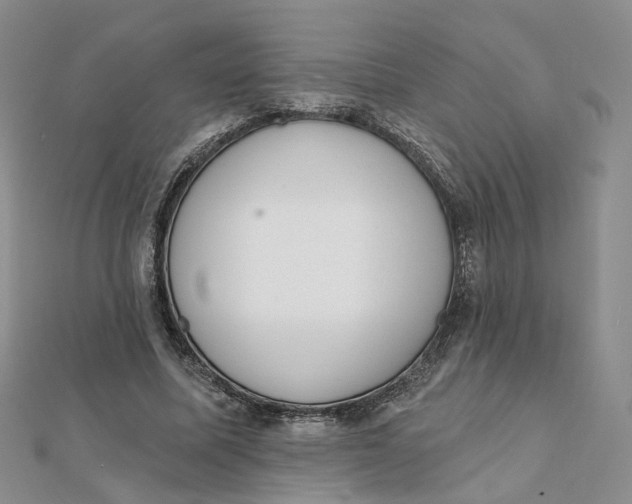 X0000112080587200908251106