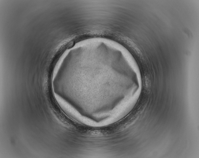 X0000112080588200908251106