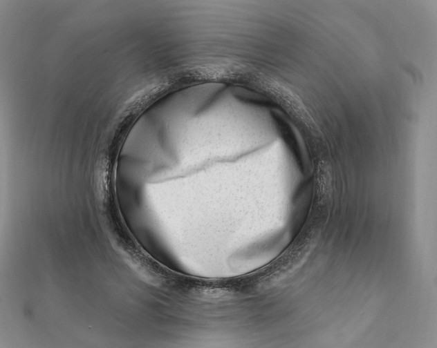 X0000112080590200908251106