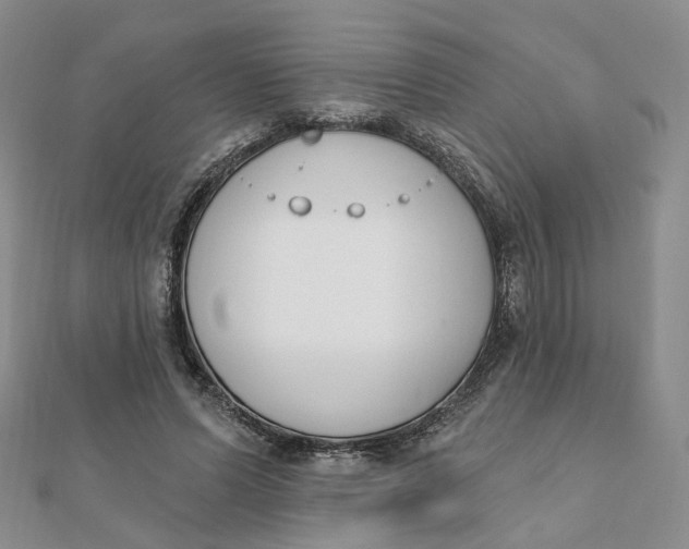 X0000112080591200908251106