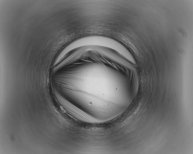 X0000112080593200908251106