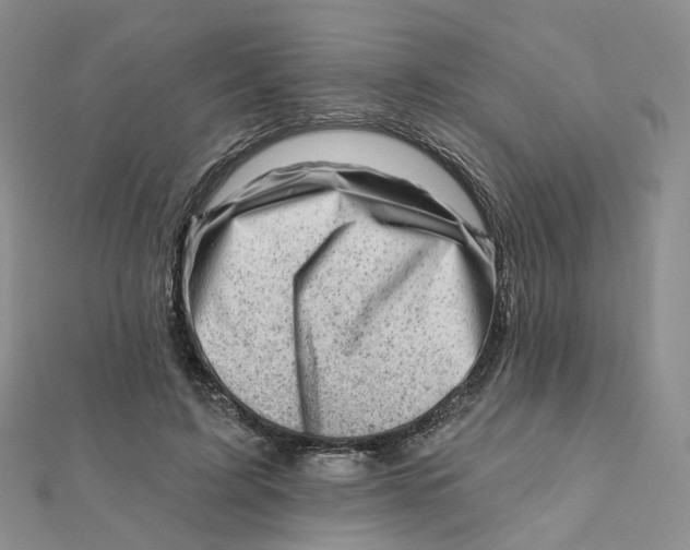 X0000112080595200908251106