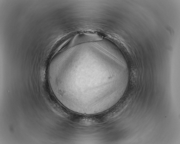 X0000112080596200908251106