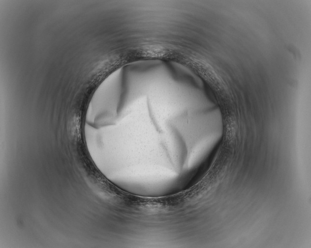 X0000112080598200908251106