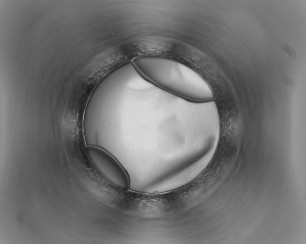 X0000112080599200908251106