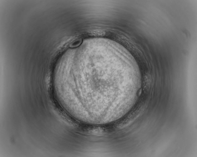 X0000112080600200908251106