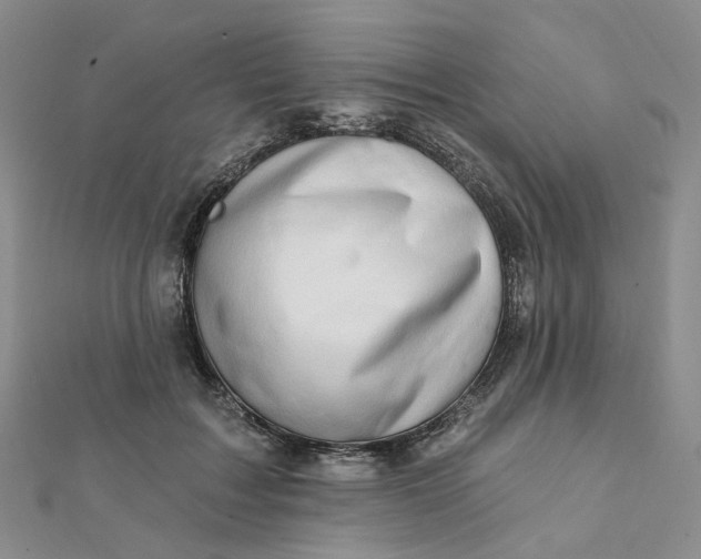 X0000112080603200908251106
