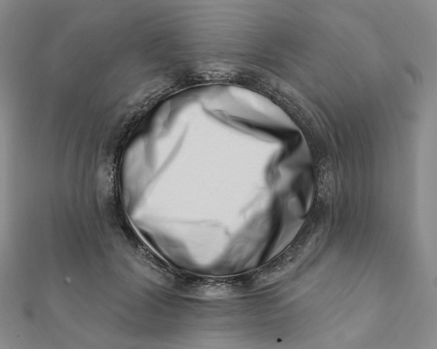 X0000112080604200908251106