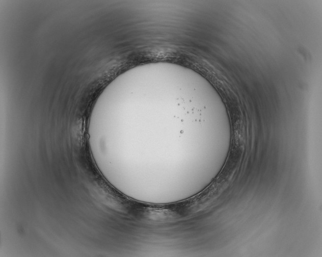 X0000112080605200908251106