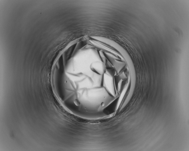 X0000112080606200908251106