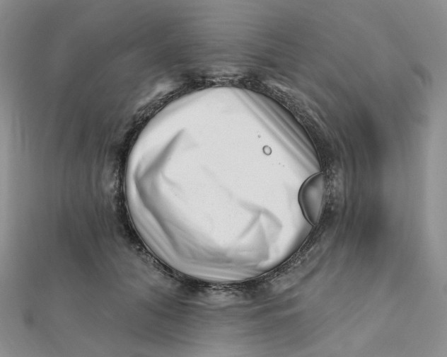 X0000112080608200908251106