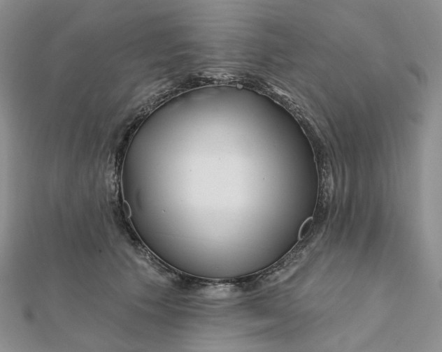 X0000112080609200908251106