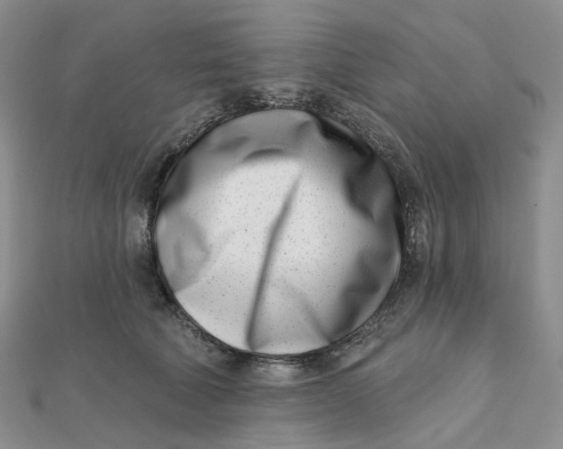 X0000112080610200908251106