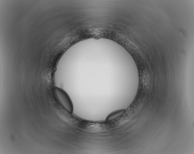 X0000112080611200908251106