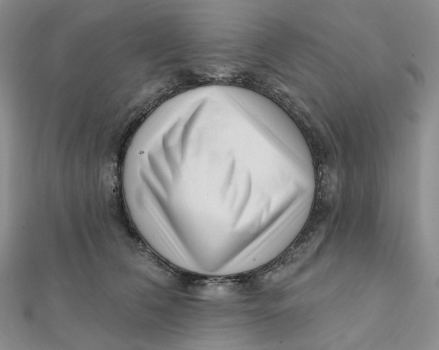 X0000112080612200908251106