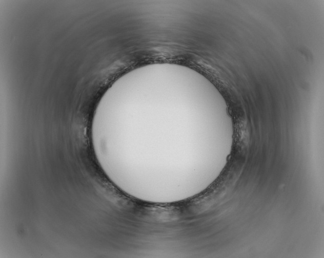X0000112080615200908251106