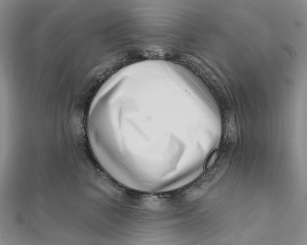 X0000112080616200908251106