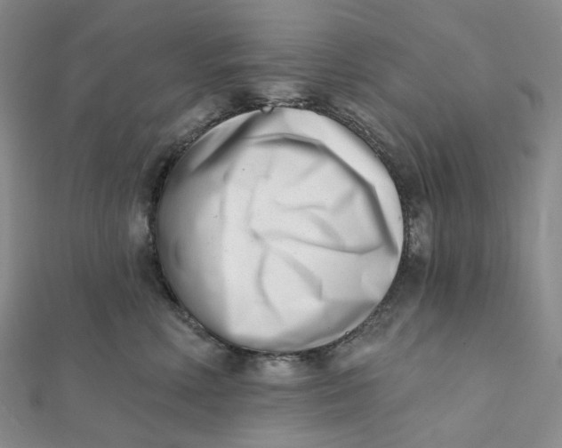X0000112080618200908251106
