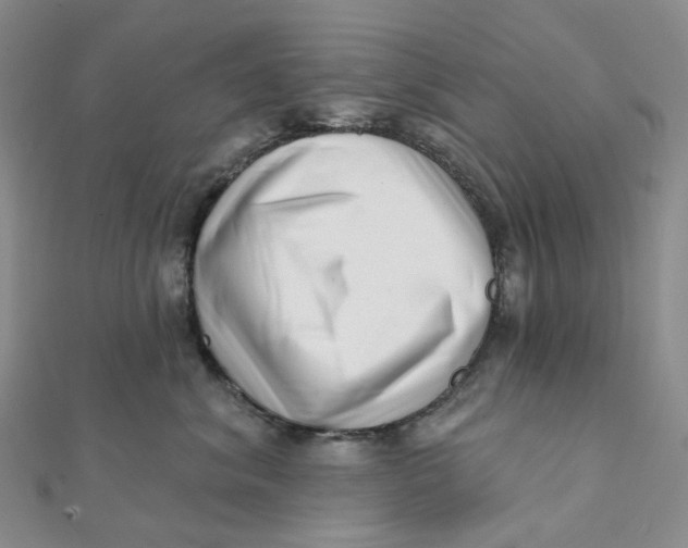 X0000112080620200908251106