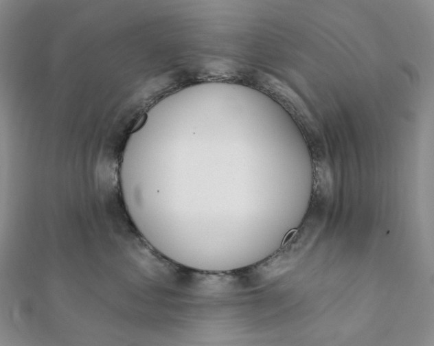X0000112080621200908251106