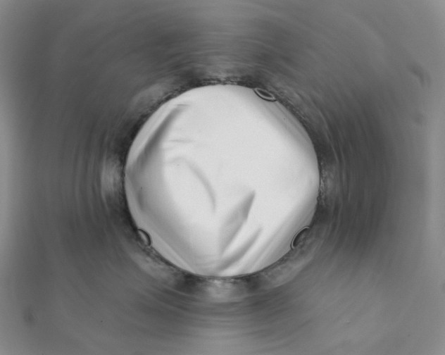 X0000112080623200908251106