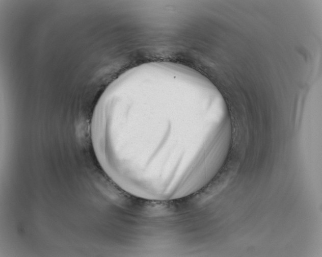 X0000112080624200908251106