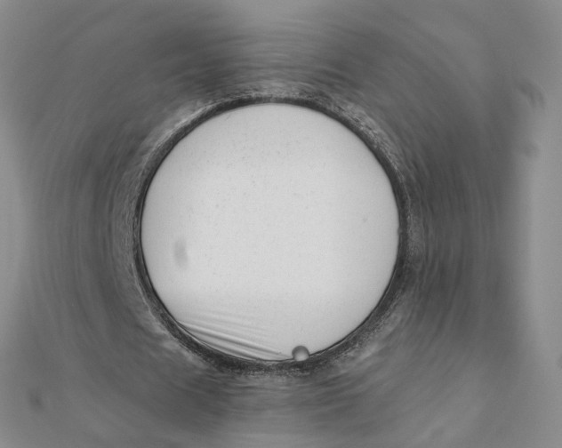 X0000112080625200908251105