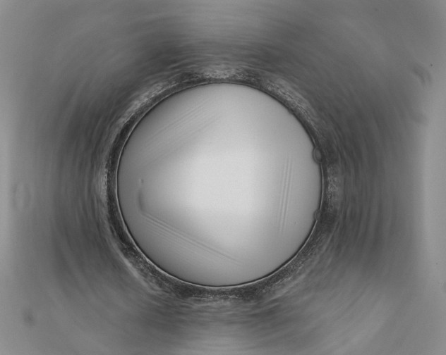 X0000112080626200908251105