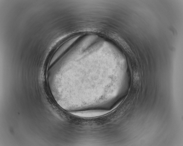 X0000112080628200908251105