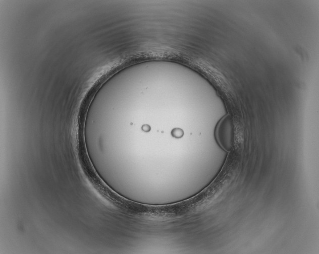 X0000112080630200908251105