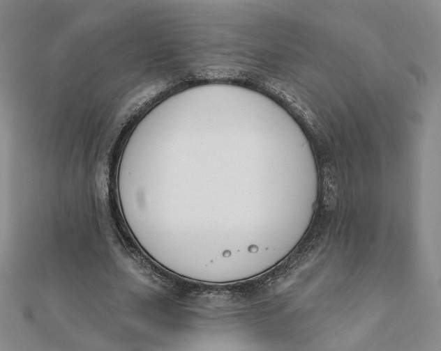 X0000112080631200908251105