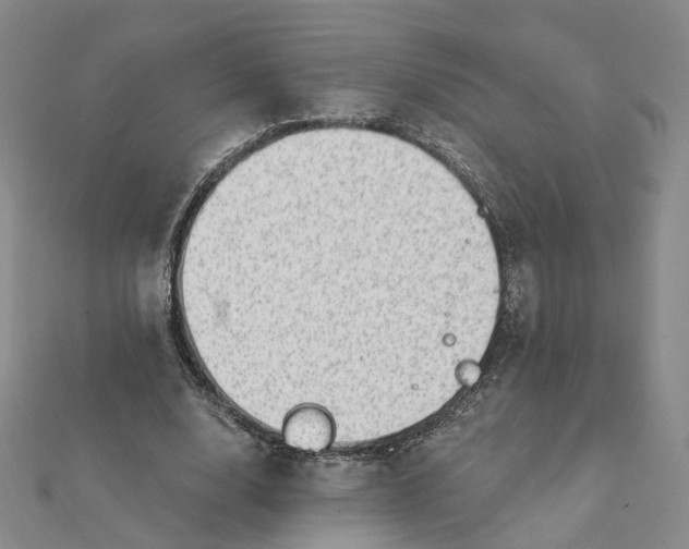 X0000112080632200908251105
