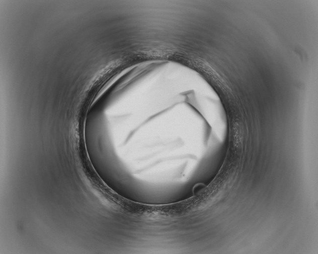X0000112080634200908251105