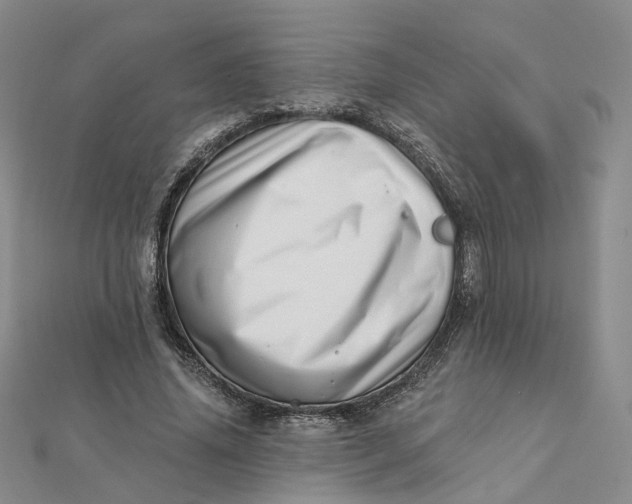 X0000112080636200908251105
