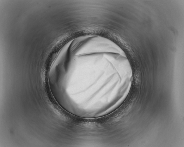 X0000112080637200908251105