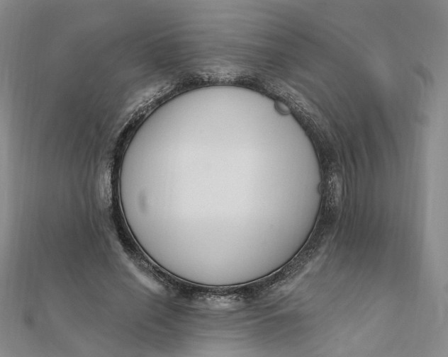 X0000112080638200908251105
