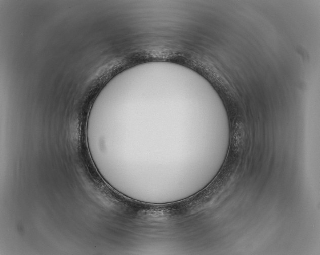 X0000112080639200908251105