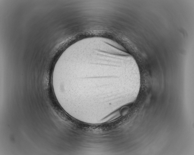 X0000112080640200908251105