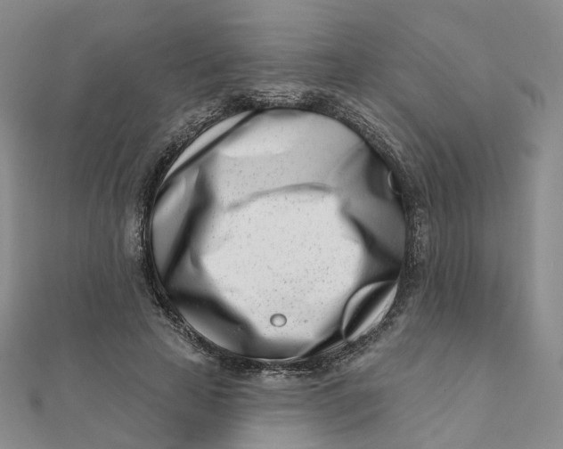 X0000112080641200908251105
