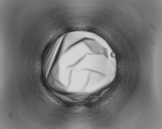 X0000112080642200908251105