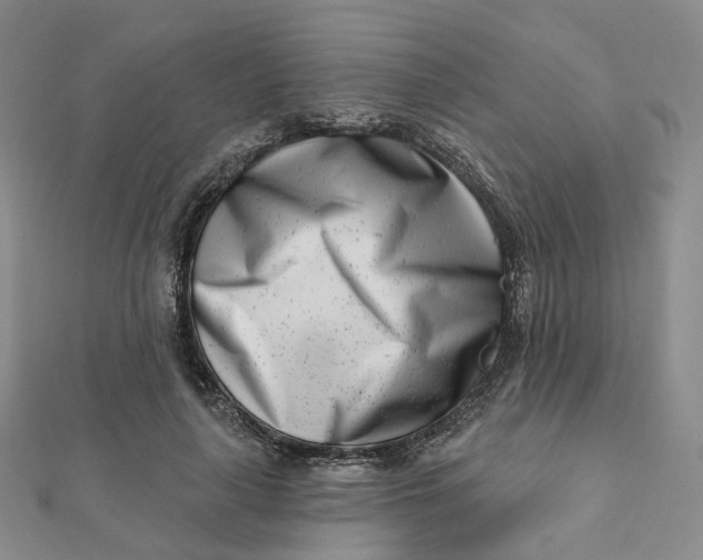 X0000112080643200908251105